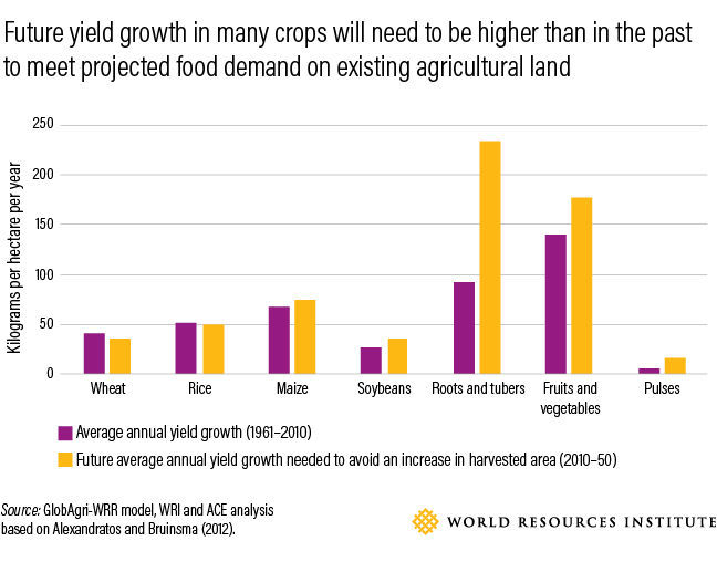 How to Feed 10 Billion by 2050 - Moving Toward a Sustainable Food Future
