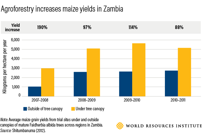 How to Feed 10 Billion by 2050 - Moving Toward a Sustainable Food Future
