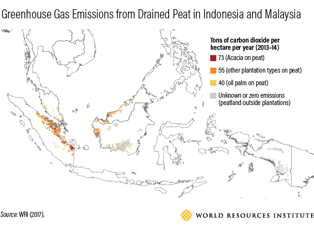 How to Feed 10 Billion by 2050 - Moving Toward a Sustainable Food Future
