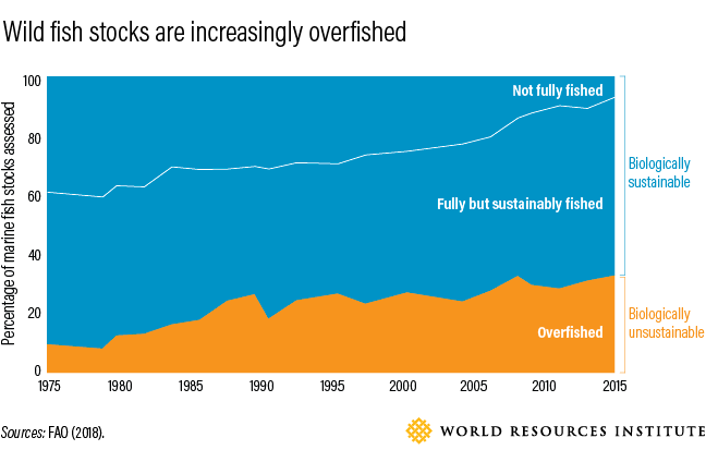 How to Feed 10 Billion by 2050 - Moving Toward a Sustainable Food Future
