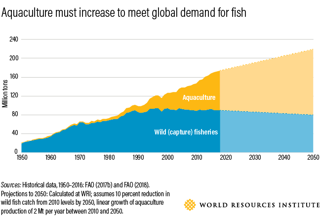 How to Feed 10 Billion by 2050 - Moving Toward a Sustainable Food Future