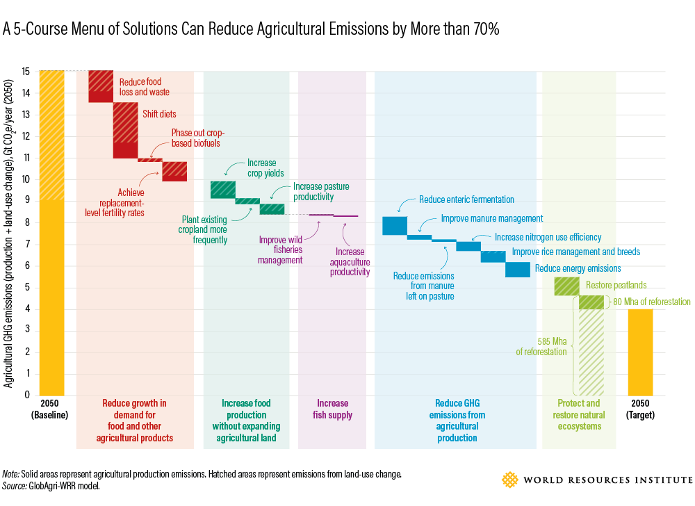 How to Feed 10 Billion by 2050 - Moving Toward a Sustainable Food Future