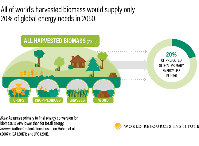 How to Feed 10 Billion by 2050 - Moving Toward a Sustainable Food Future